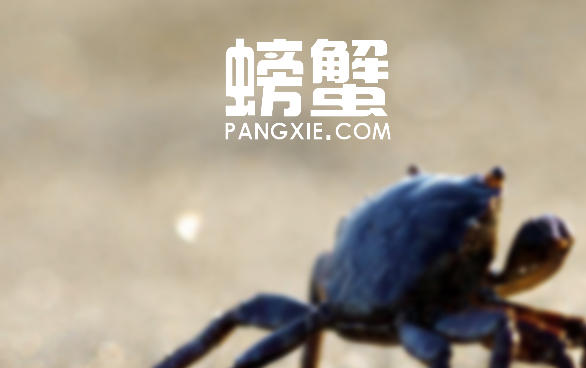 螃蟹交易平台网上服务大厅_螃蟹交易平台官方登录通道